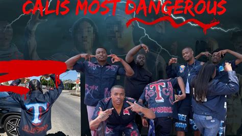 51 trouble gangster crip. Things To Know About 51 trouble gangster crip. 